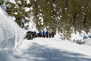 Snowmobilers in groups