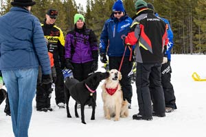 Snowmobilers in groups