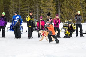 Photo of individual snowmobiler