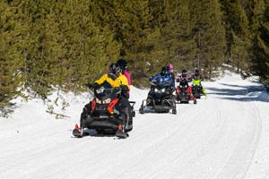 Snowmobilers riding on the trail