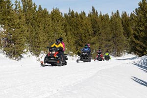 Snowmobilers riding on the trail