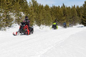 Snowmobilers riding on the trail