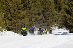 Snowmobilers riding on the trail