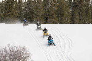 Snowmobilers riding on the trail