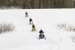 Snowmobilers riding on the trail