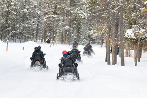 Snowmobilers riding on the trail