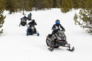 Snowmobilers riding on the trail