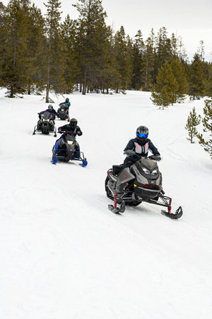 Snowmobilers riding on the trail