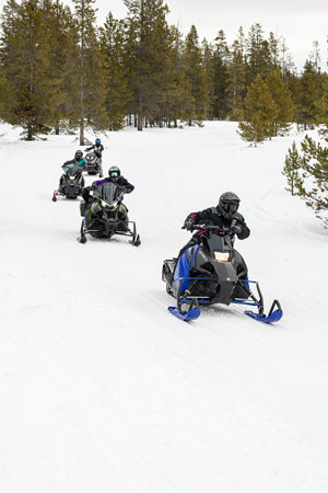 Snowmobilers riding on the trail