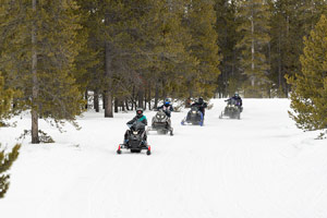 Snowmobilers riding on the trail