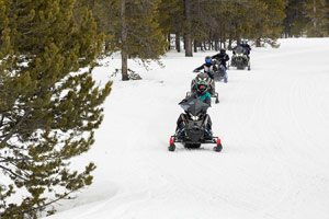 Snowmobilers riding on the trail