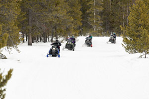 Snowmobilers riding on the trail