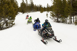 Snowmobilers riding on the trail