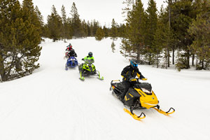 Snowmobilers riding on the trail