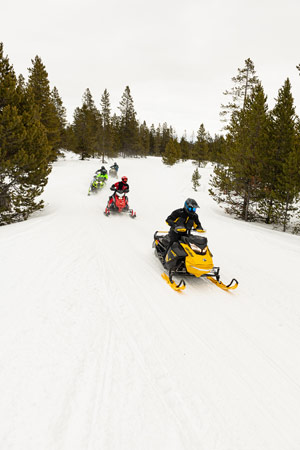 Snowmobilers riding on the trail