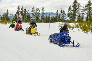 Snowmobilers riding on the trail