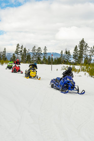 Snowmobilers riding on the trail