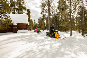 Snowmobilers riding on the trail